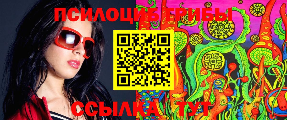 Галлюциногенные грибы Psilocybine cubensis Севастополь