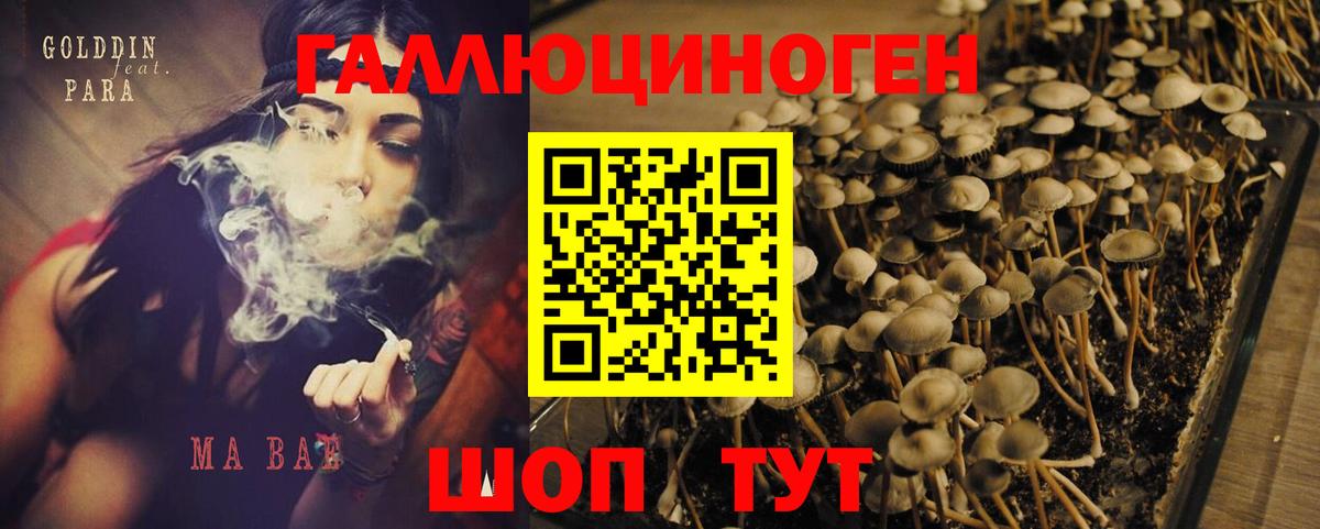 Галлюциногенные грибы Magic Shrooms  Вход с VPN  Севастополь 